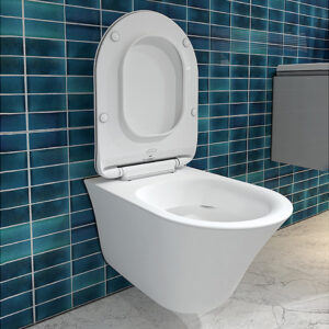 Vive wall hung toilet bundle in White