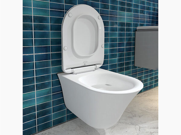 Vive wall hung toilet bundle in White
