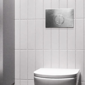Flush Valve
