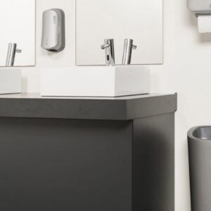 Sanitary Disposals