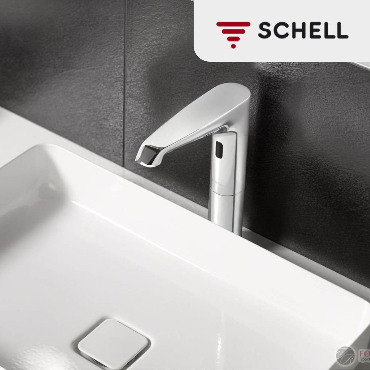 Schell