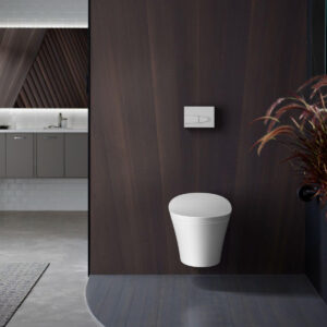 Washroom Accessories